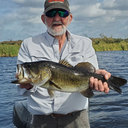 Chasing Bass trophies in scenic waters